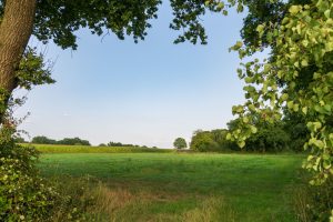 Immobilienbewertung Rheinhessen: Erbbaurecht verkaufen