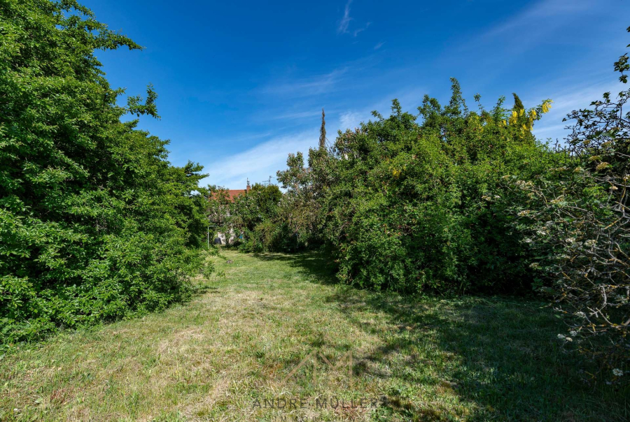 Außen-Garten1.1