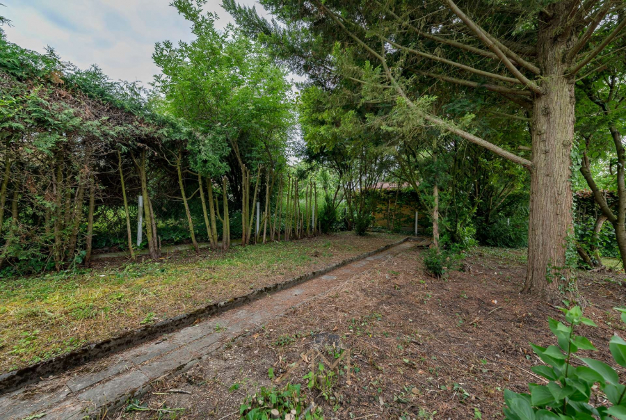 Garten1.1