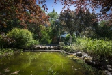 Garten1.6 - Parkvilla in Bad Kreuznach – Traumgarten, energetisch saniert. Mehrfamilienhaus und Praxis möglich.