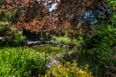 Garten1.3 - Parkvilla in Bad Kreuznach – Traumgarten, energetisch saniert. Mehrfamilienhaus und Praxis möglich.